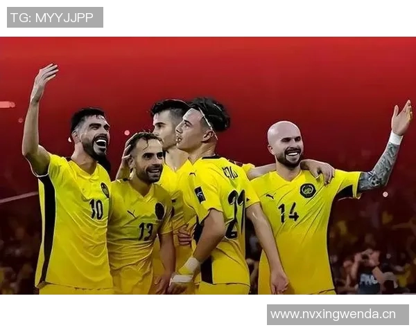 七名归化球员起诉马来西亚足协索赔因违规禁赛一年事件引发关注